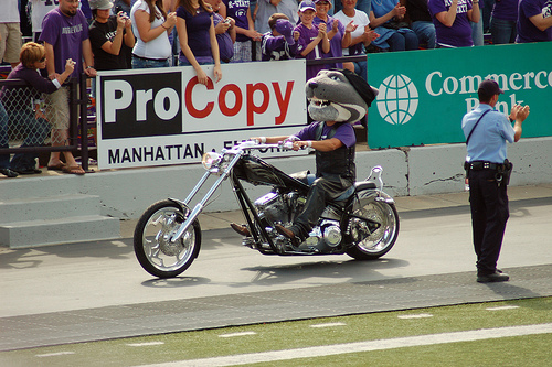 Motorcycle Willie