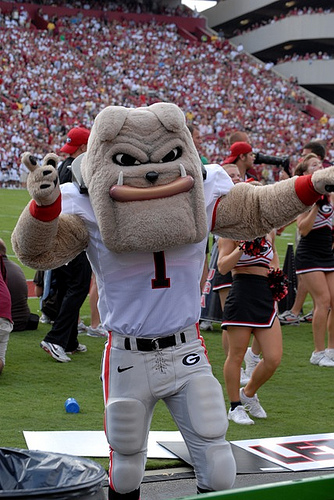 Mascot Monday: Uga and Hairy Dawg | KC College Gameday