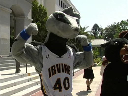 UC Irvine Anteaters mascot, Peter the Anteater. | College ...