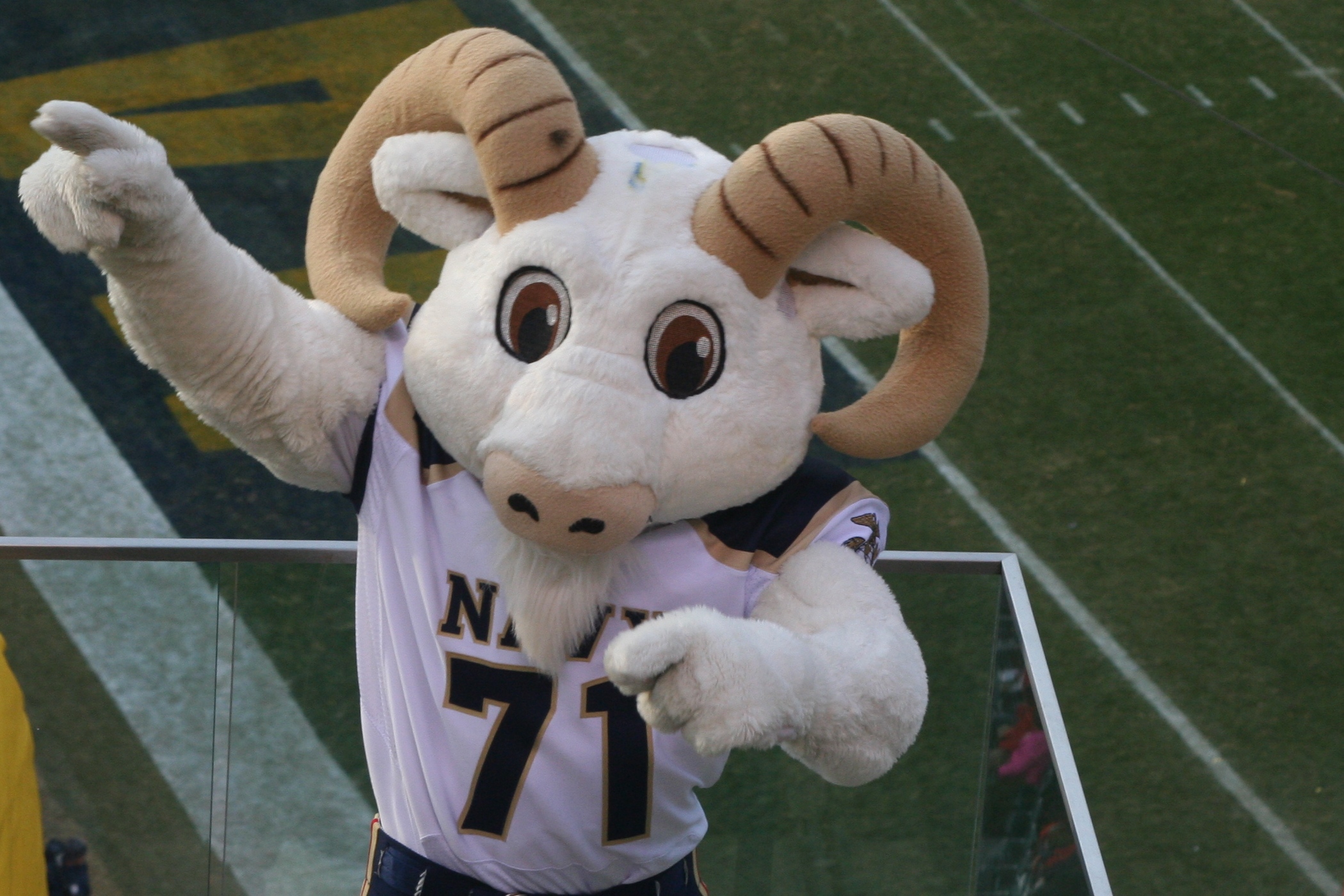 Mascot Monday: Bill the Goat | KC College Gameday