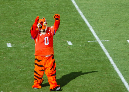 The Tiger & Tiger Cub Mascot Tradition – Clemson Tigers Official Athletics  Site