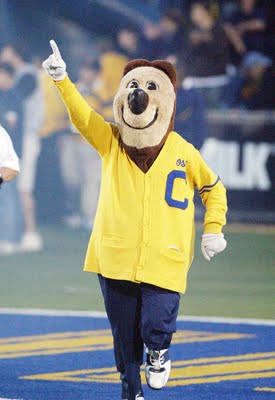 cal bears oski