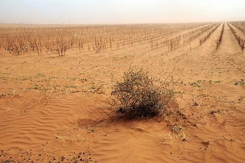 texasdrought