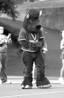 Mascot Monday: Marco the Buffalo | KC College Gameday