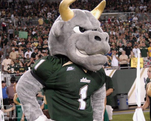 Mascot Monday: Rocky the Bull | KC College Gameday